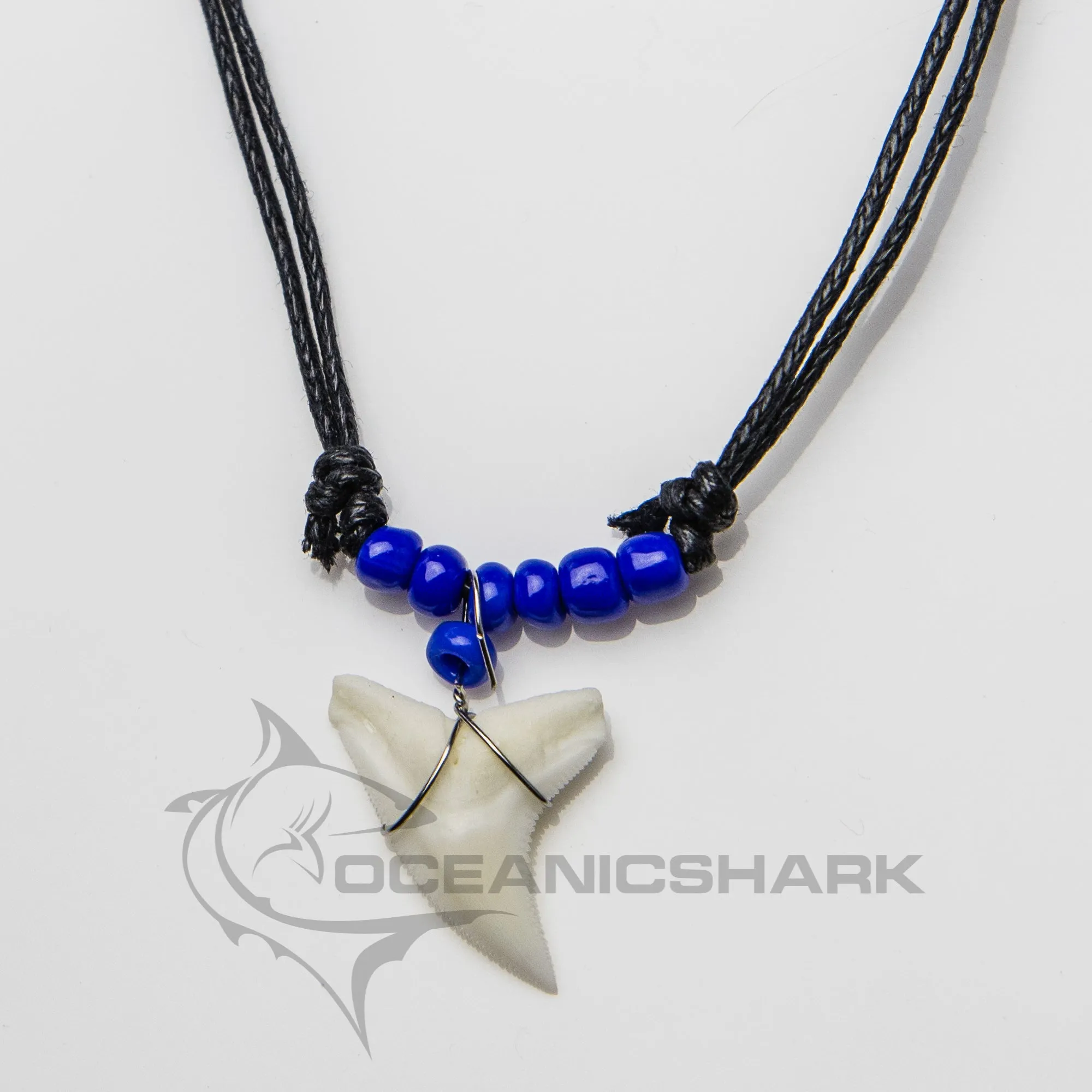 Real Shark Tooth Necklace Cobalt Blue c18