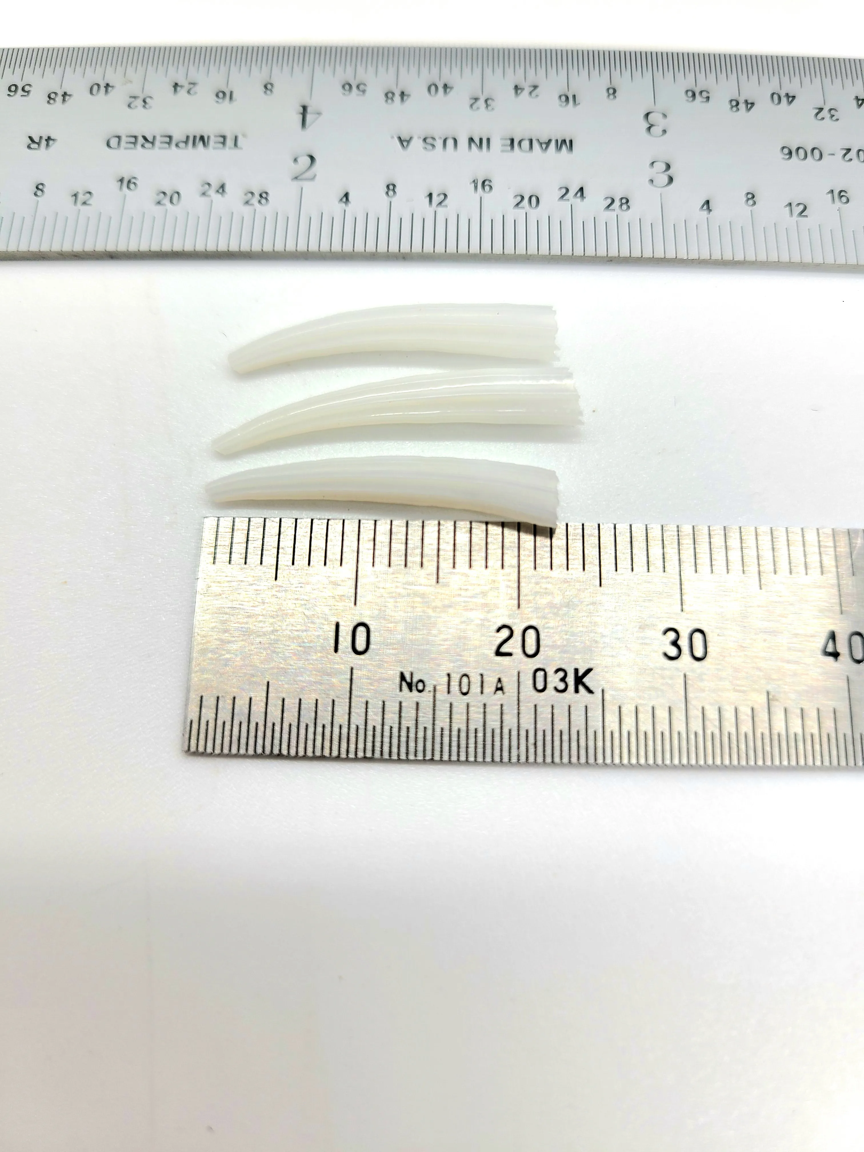 Ridged Dentalium Shells, 3/4 - 1 1/4" length Small, wait list for large, great for Jewelry, Earrings, Chokers, Necklaces and decorations