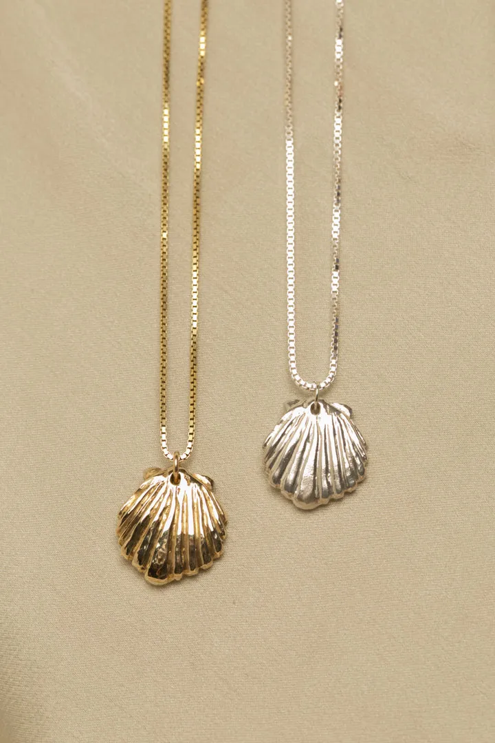 Scallop Shell