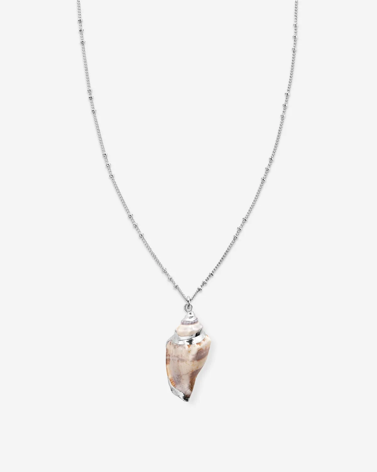 Sea Seeker Shell Necklace