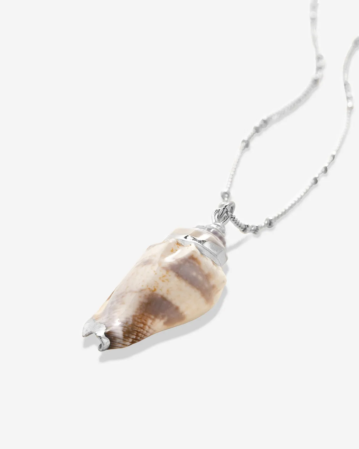 Sea Seeker Shell Necklace