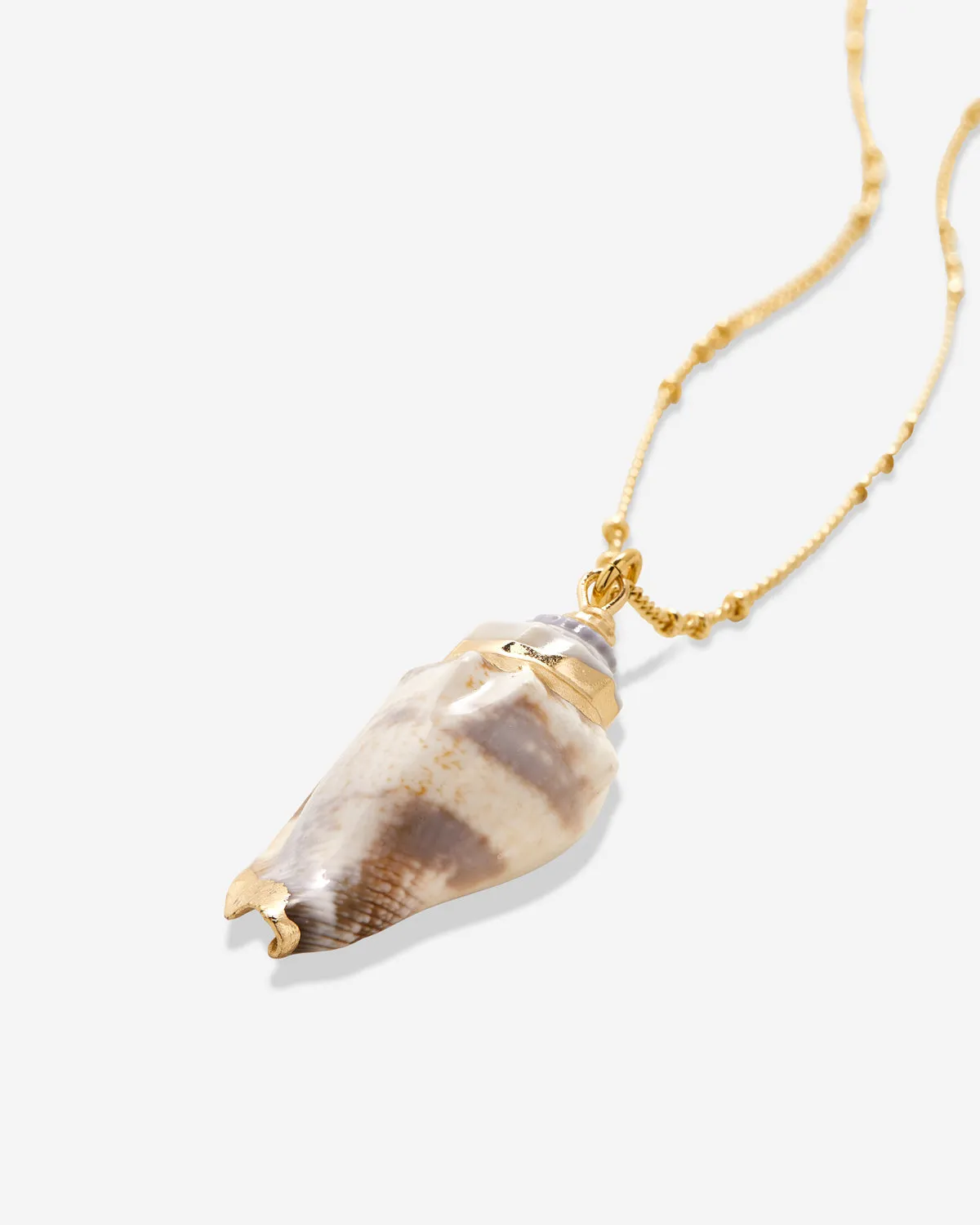 Sea Seeker Shell Necklace