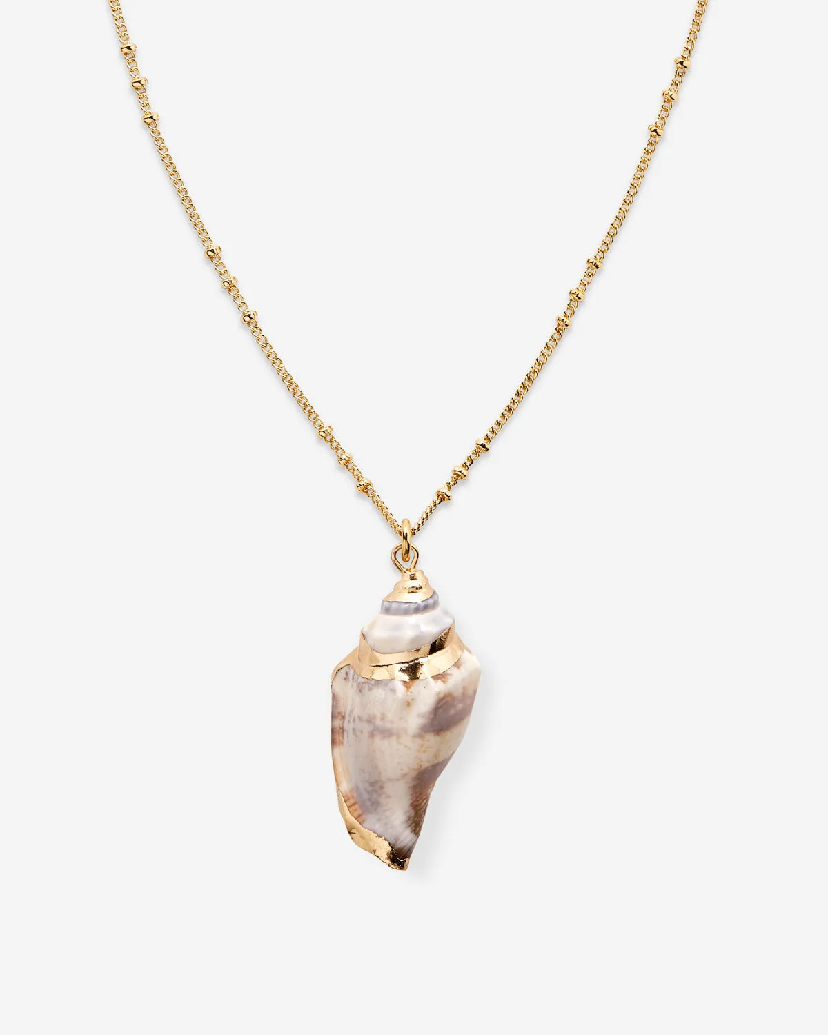 Sea Seeker Shell Necklace
