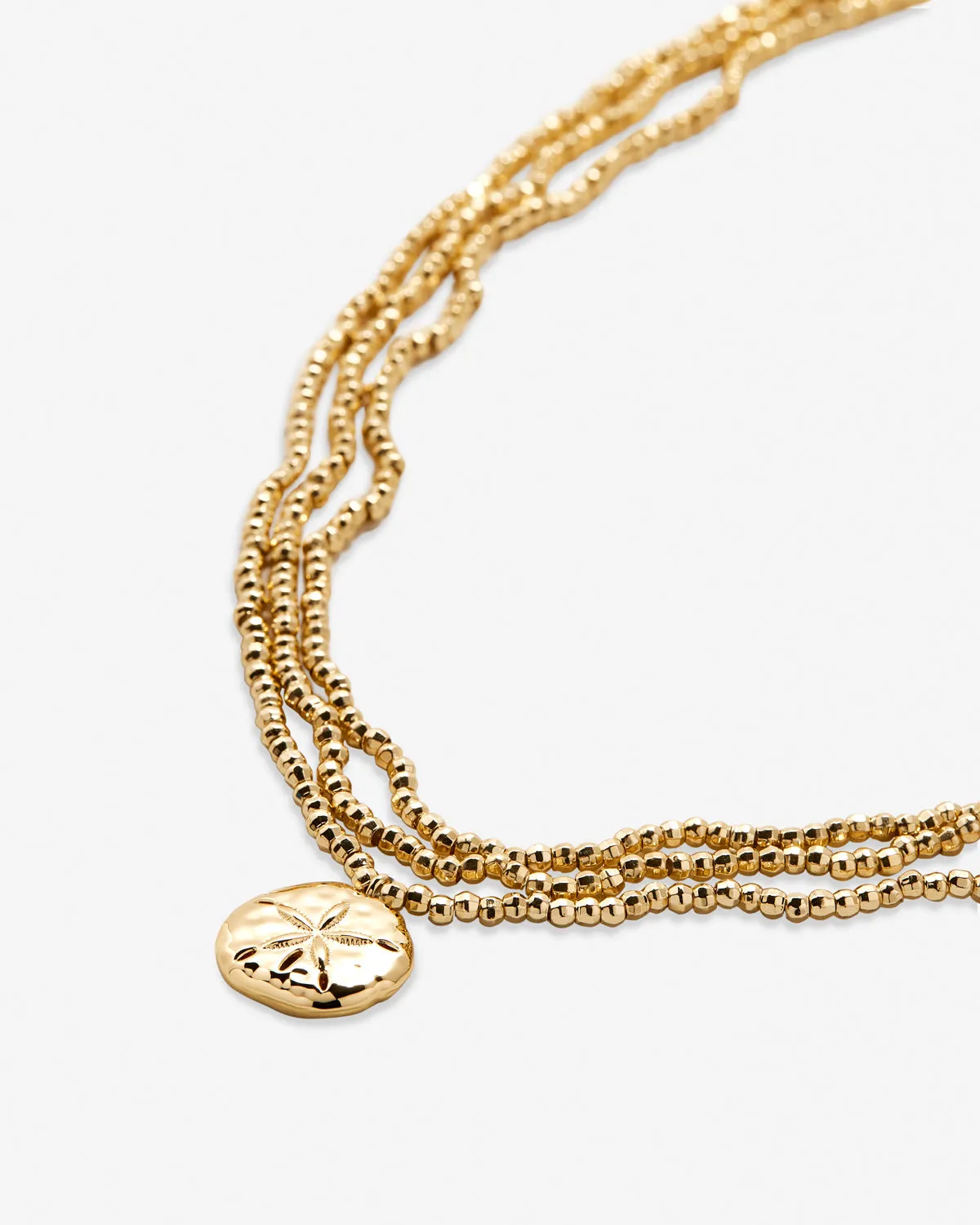 Sea Seeker Statement Choker
