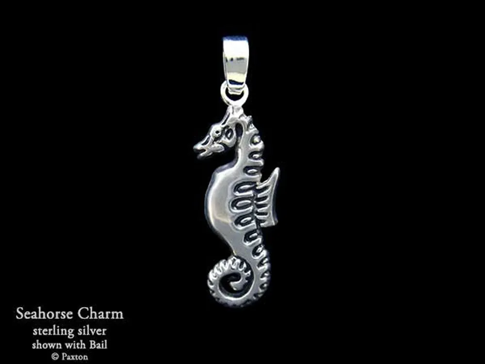 Seahorse Charm Necklace Sterling Silver