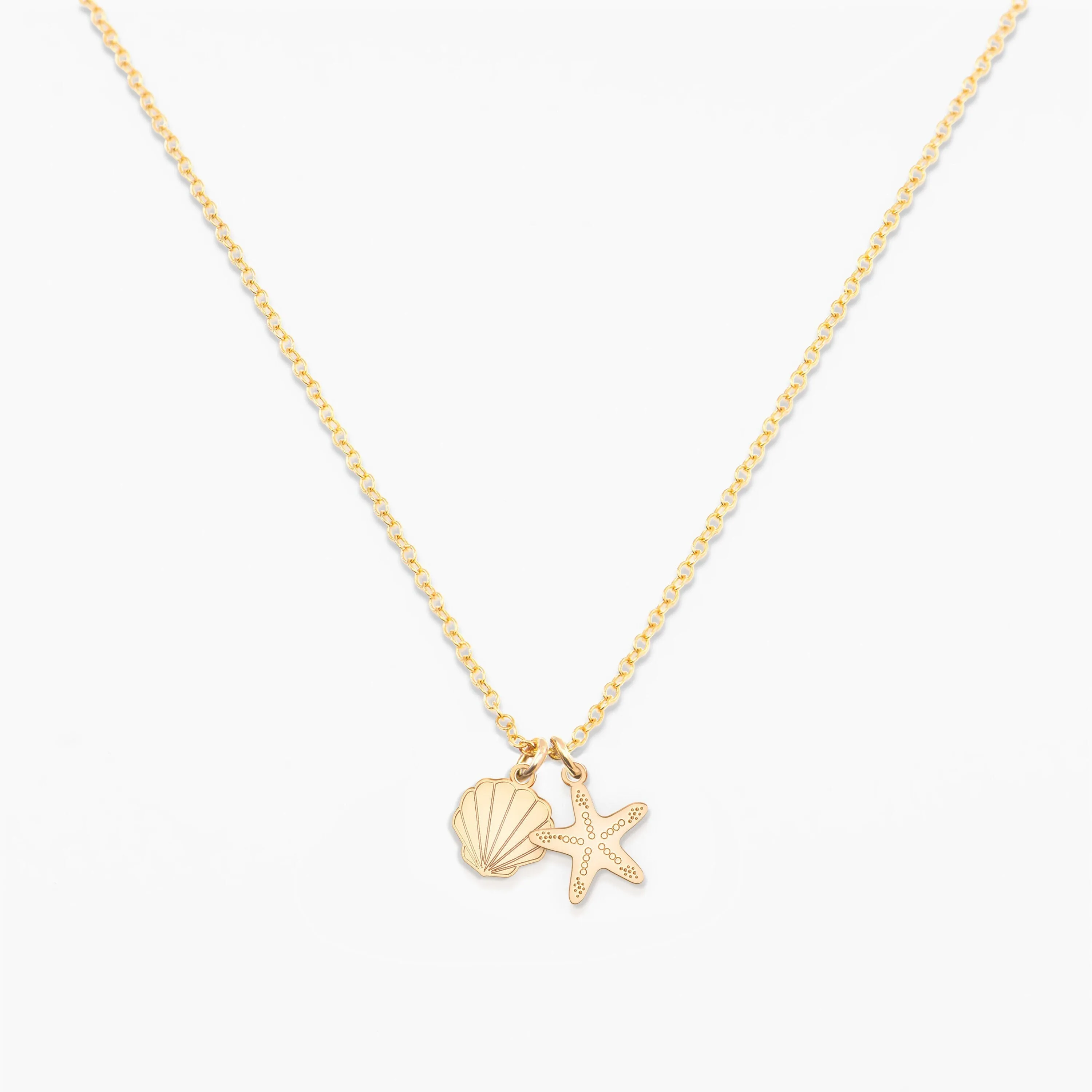 Seashell and Starfish