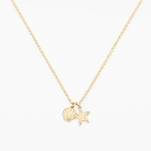 Seashell and Starfish