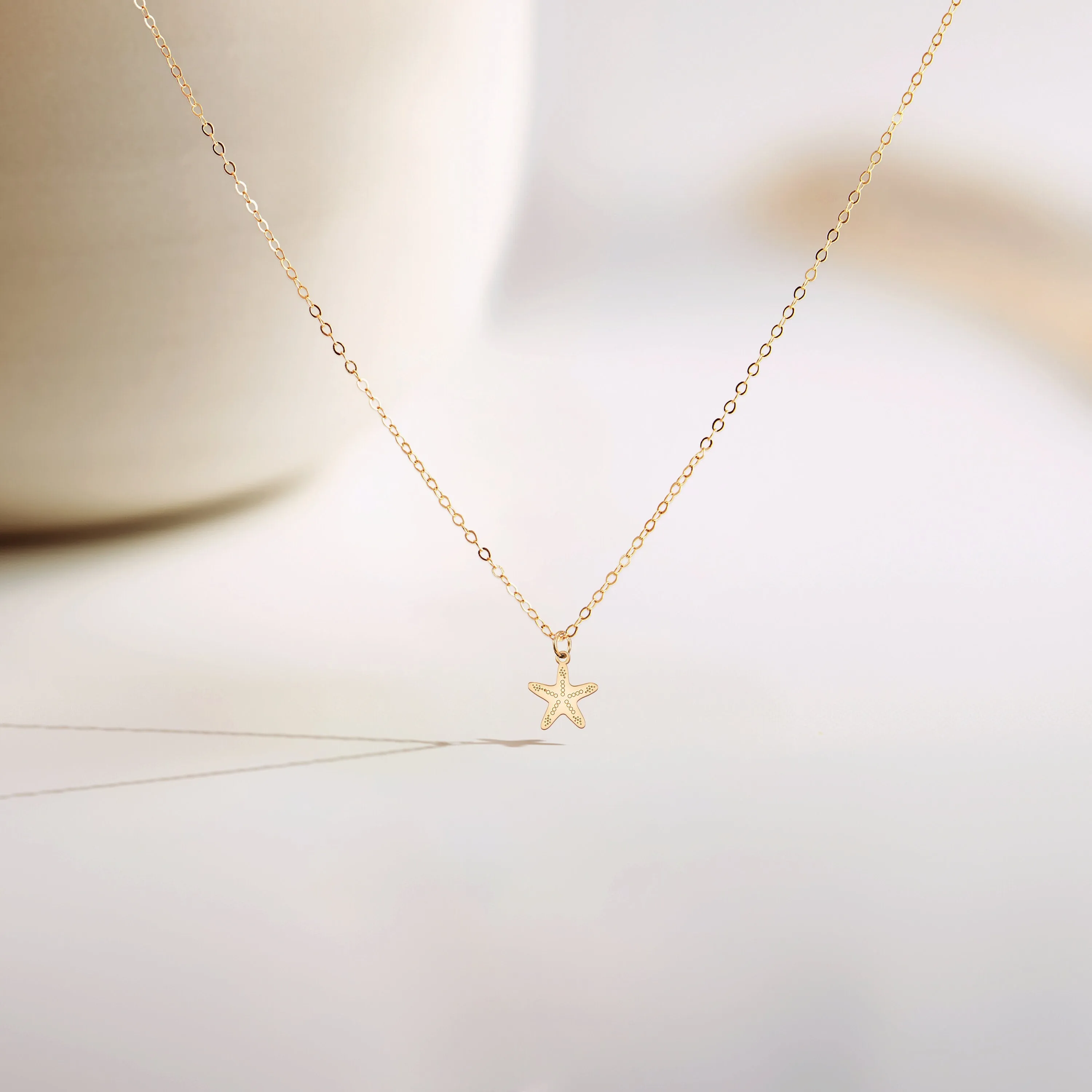 Seashell and Starfish