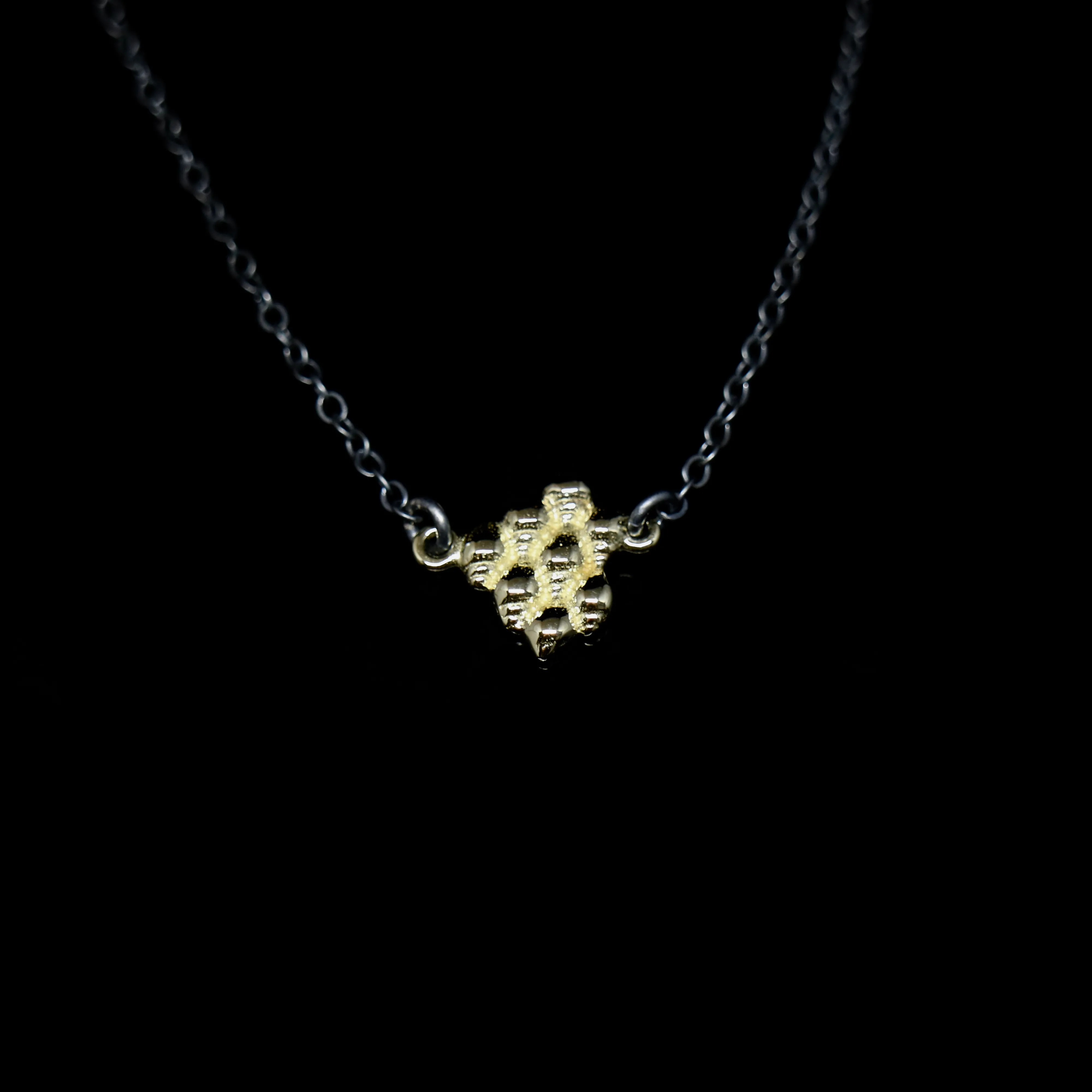 Seashell Necklace - Shell Formation - Gold