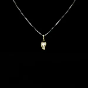 Seashell Necklace - Single Shell - Gold