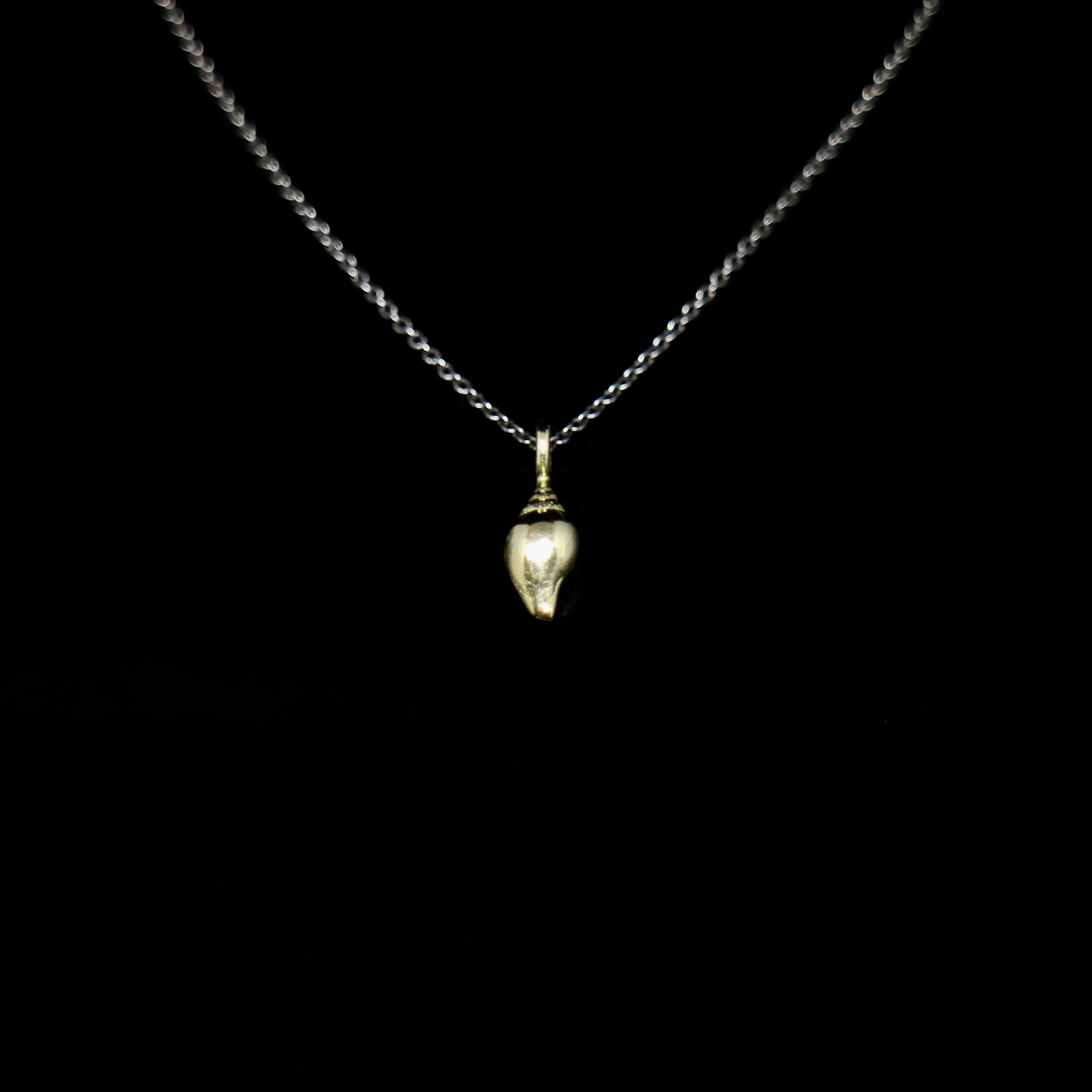 Seashell Necklace - Single Shell - Gold