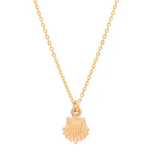 Seashell Necklace