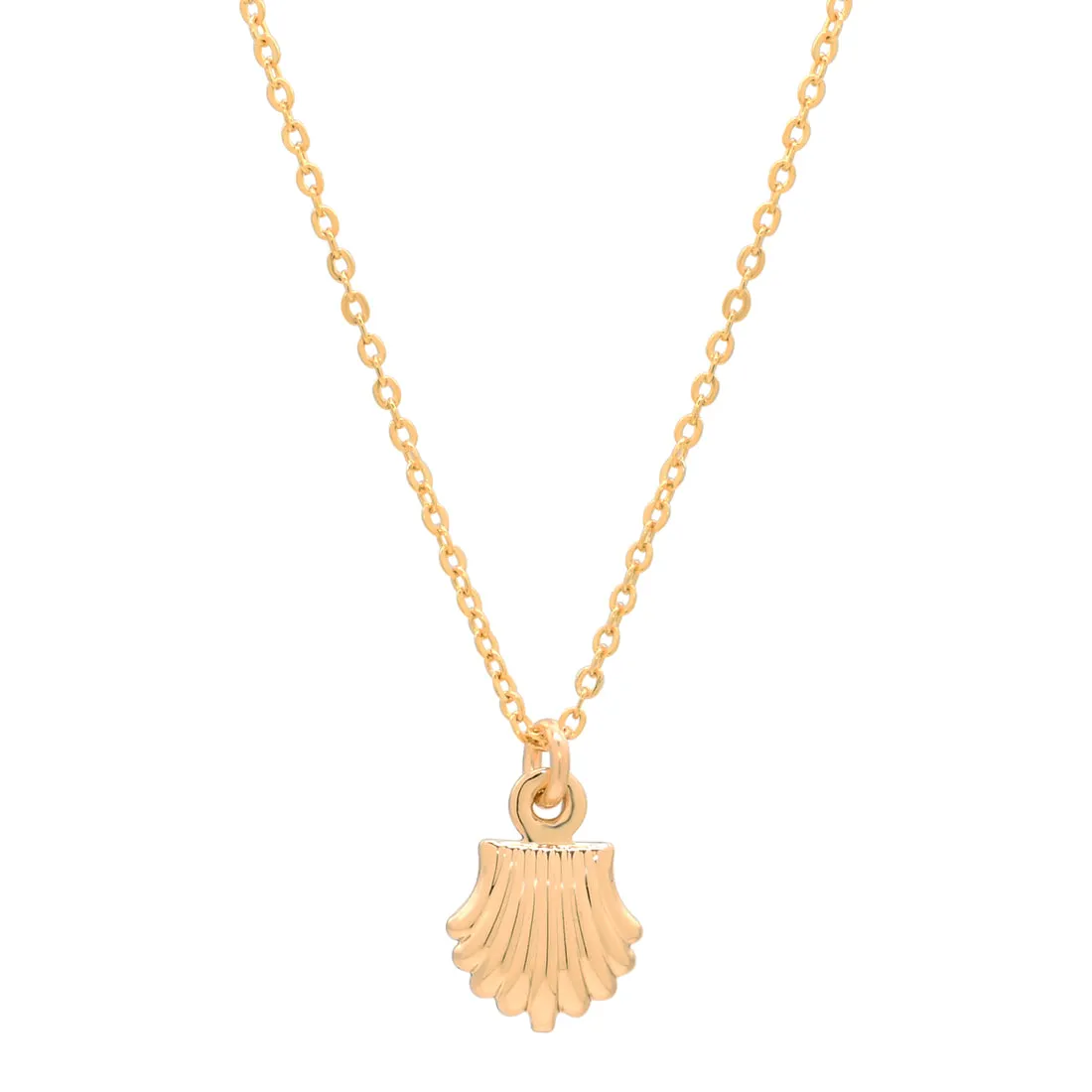 Seashell Necklace