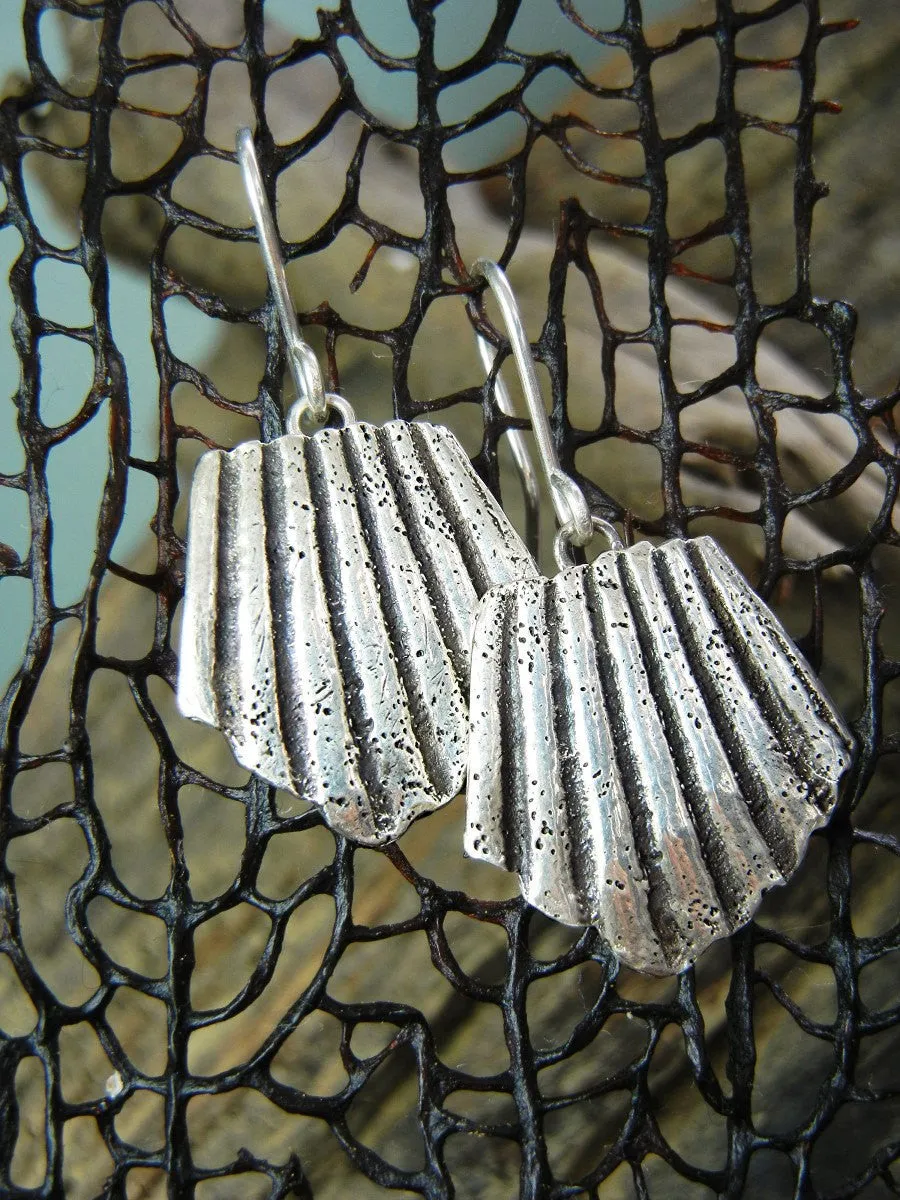 SeaShell Silver Earrings