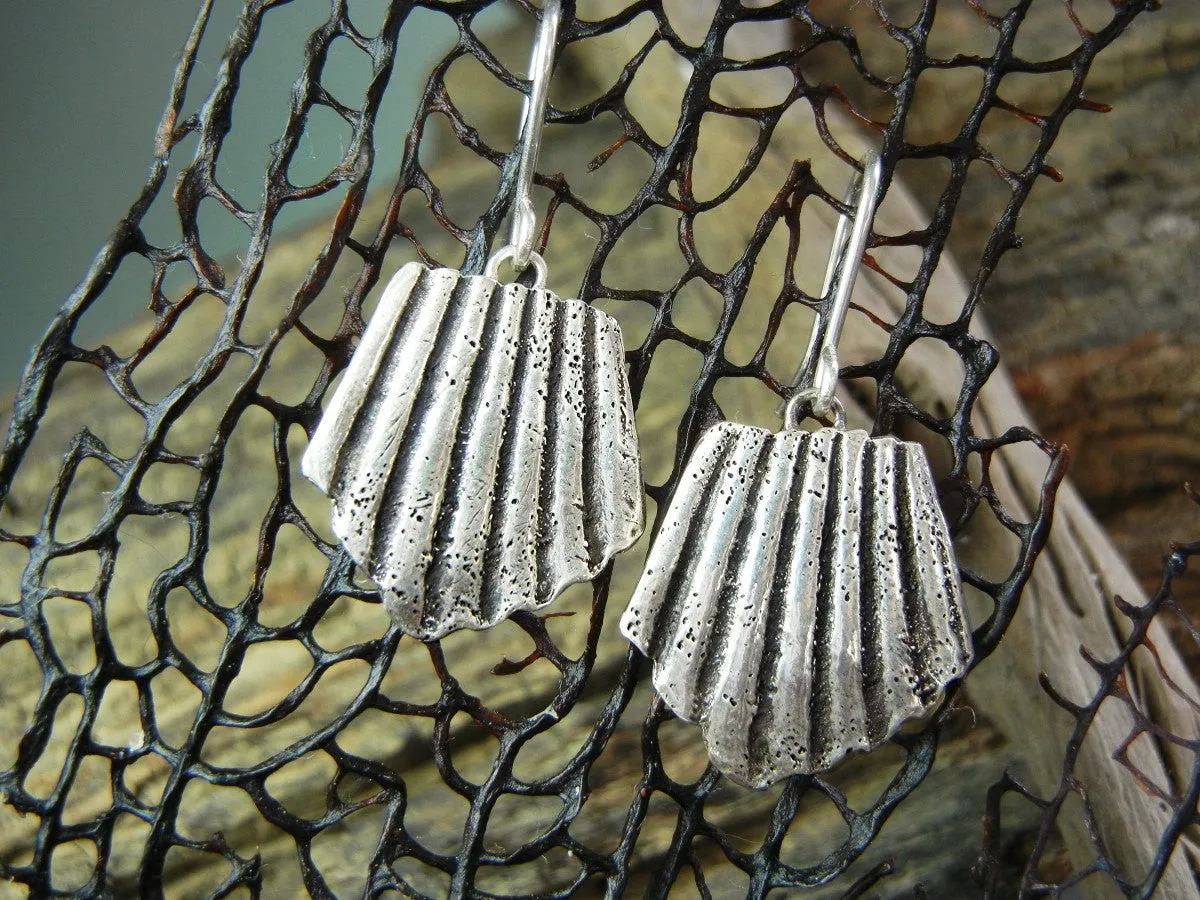 SeaShell Silver Earrings