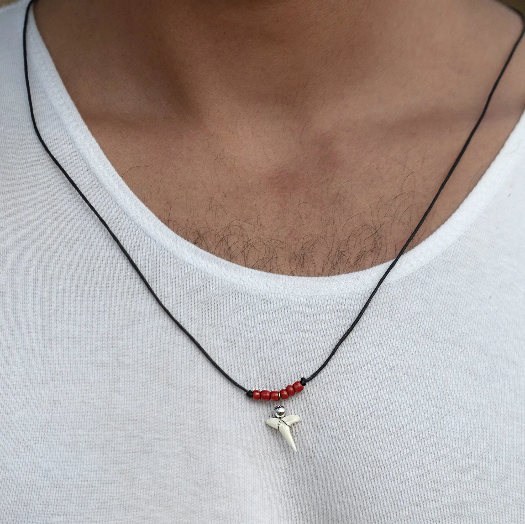Shark tooth Haifischzahn サメの歯 dent de requin c129