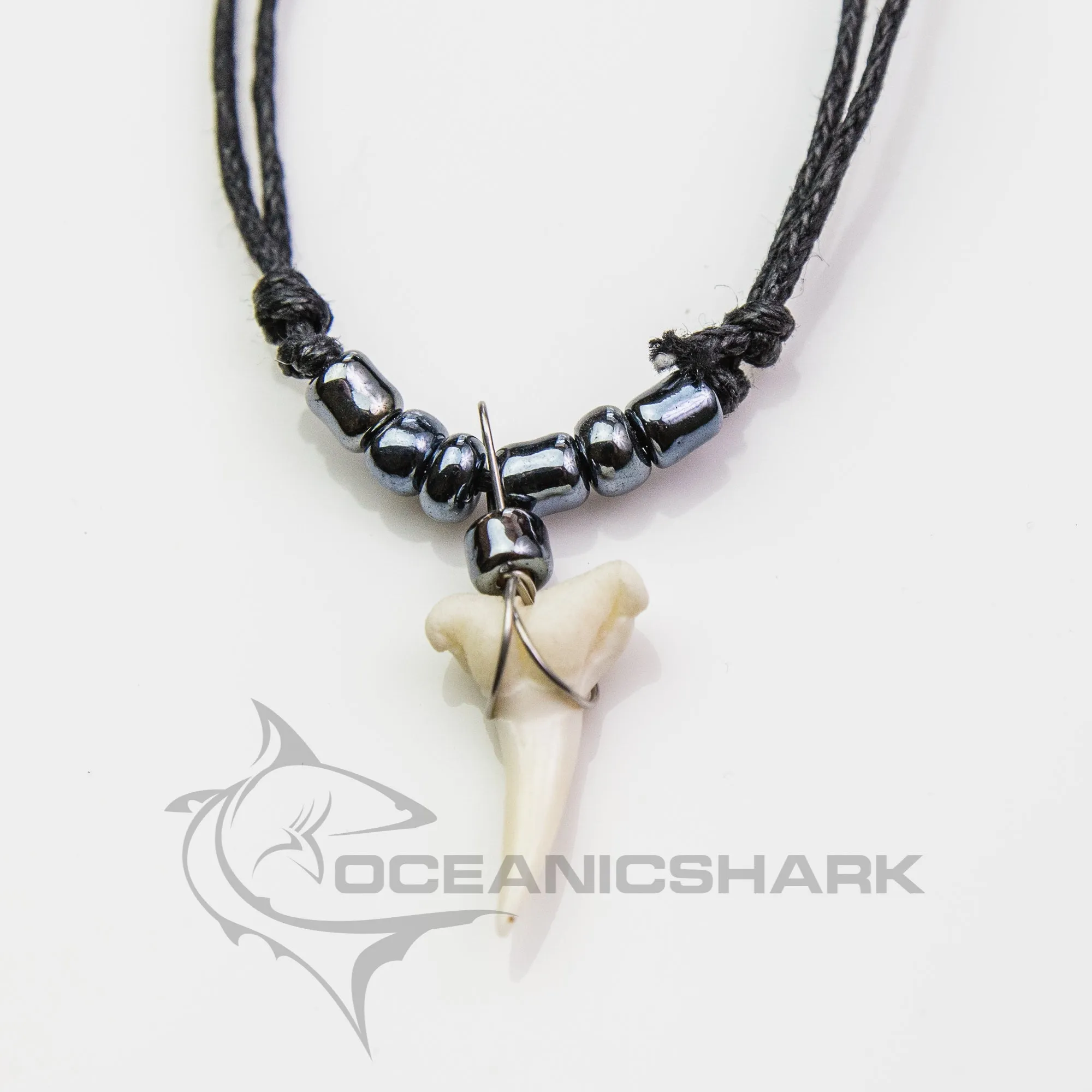 Shark tooth Haifischzahn サメの歯 dent de requin c130