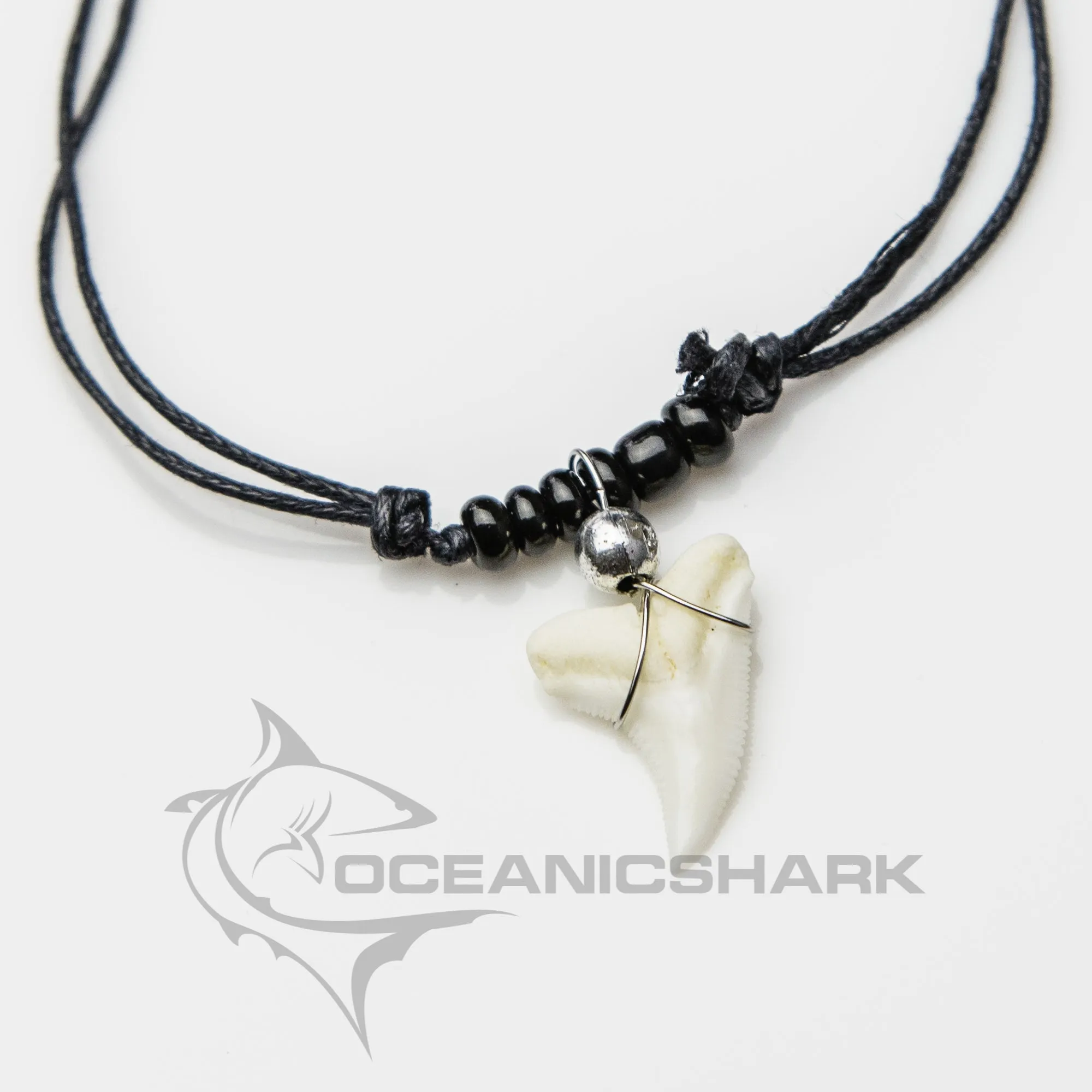 Shark Tooth Necklace Australia c2