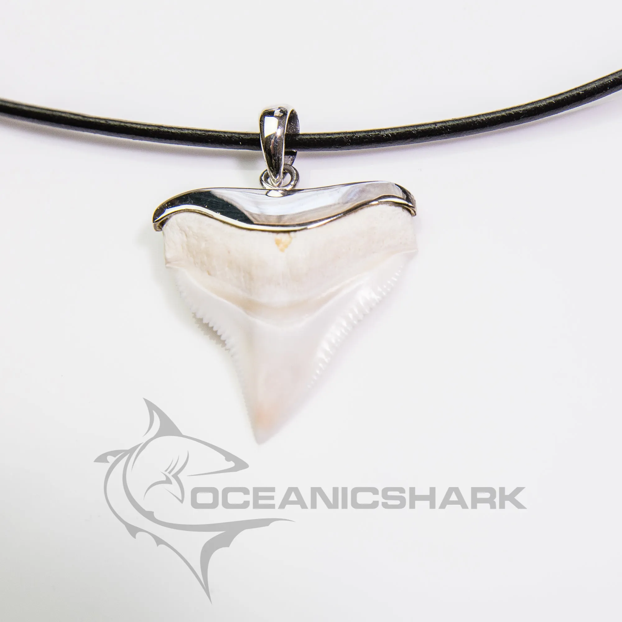 Shark Tooth Necklace s10