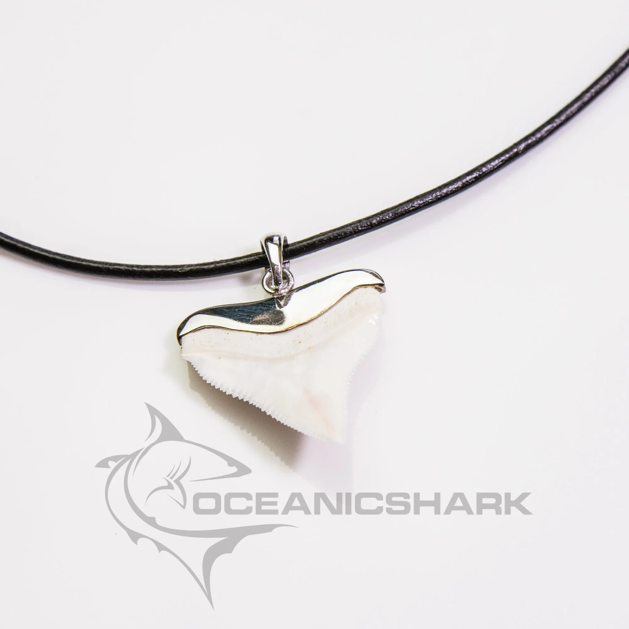 Shark Tooth Necklace s10