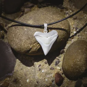 Shark Tooth Necklace s10