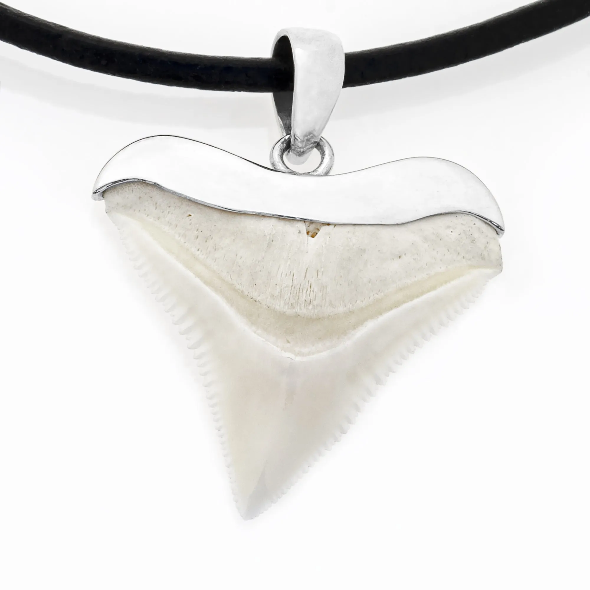 Shark Tooth Necklace s10