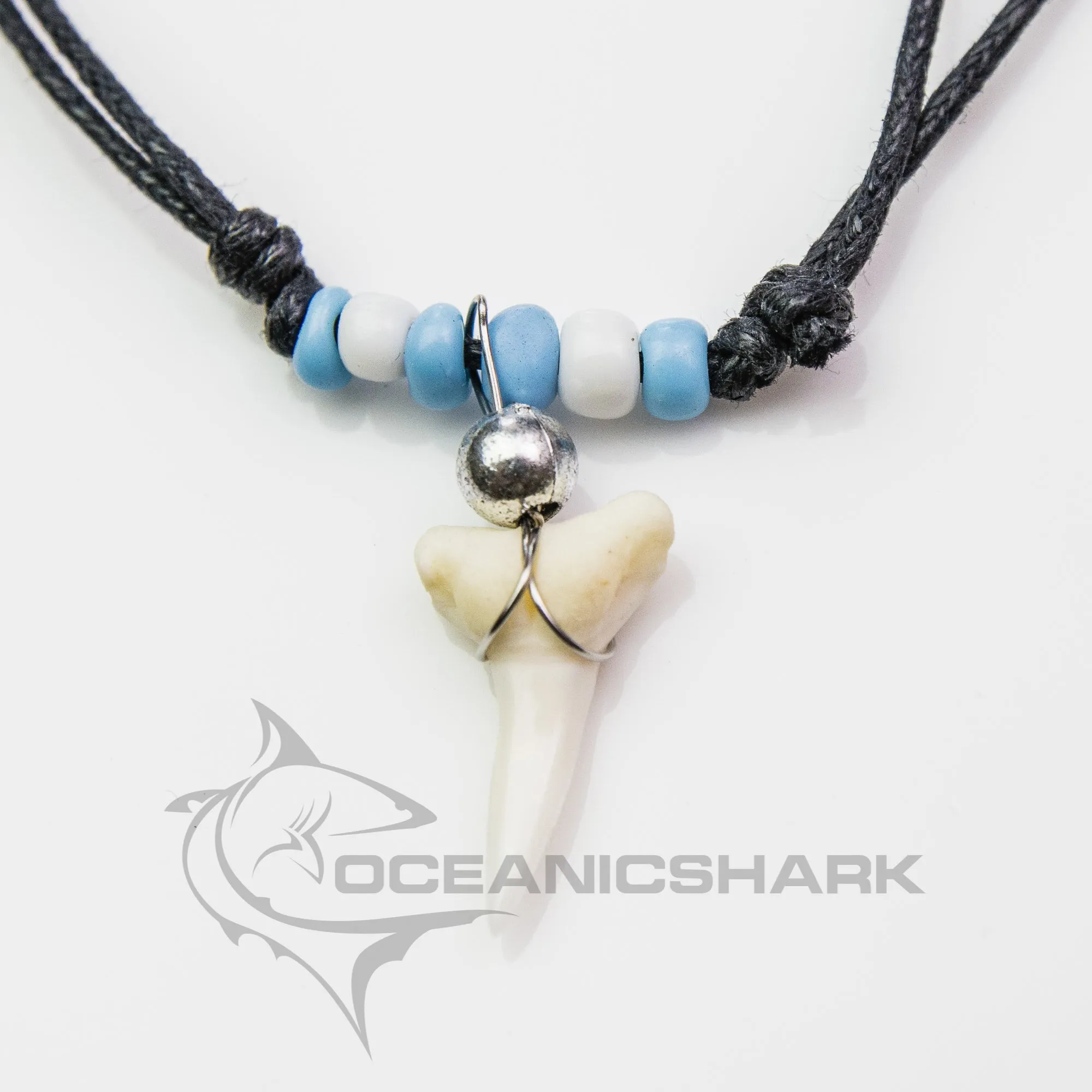 Shark Tooth Talisman c131