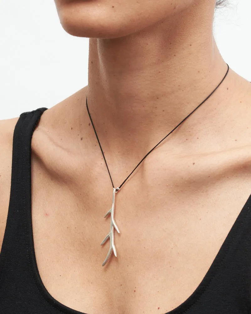 Staghorn
