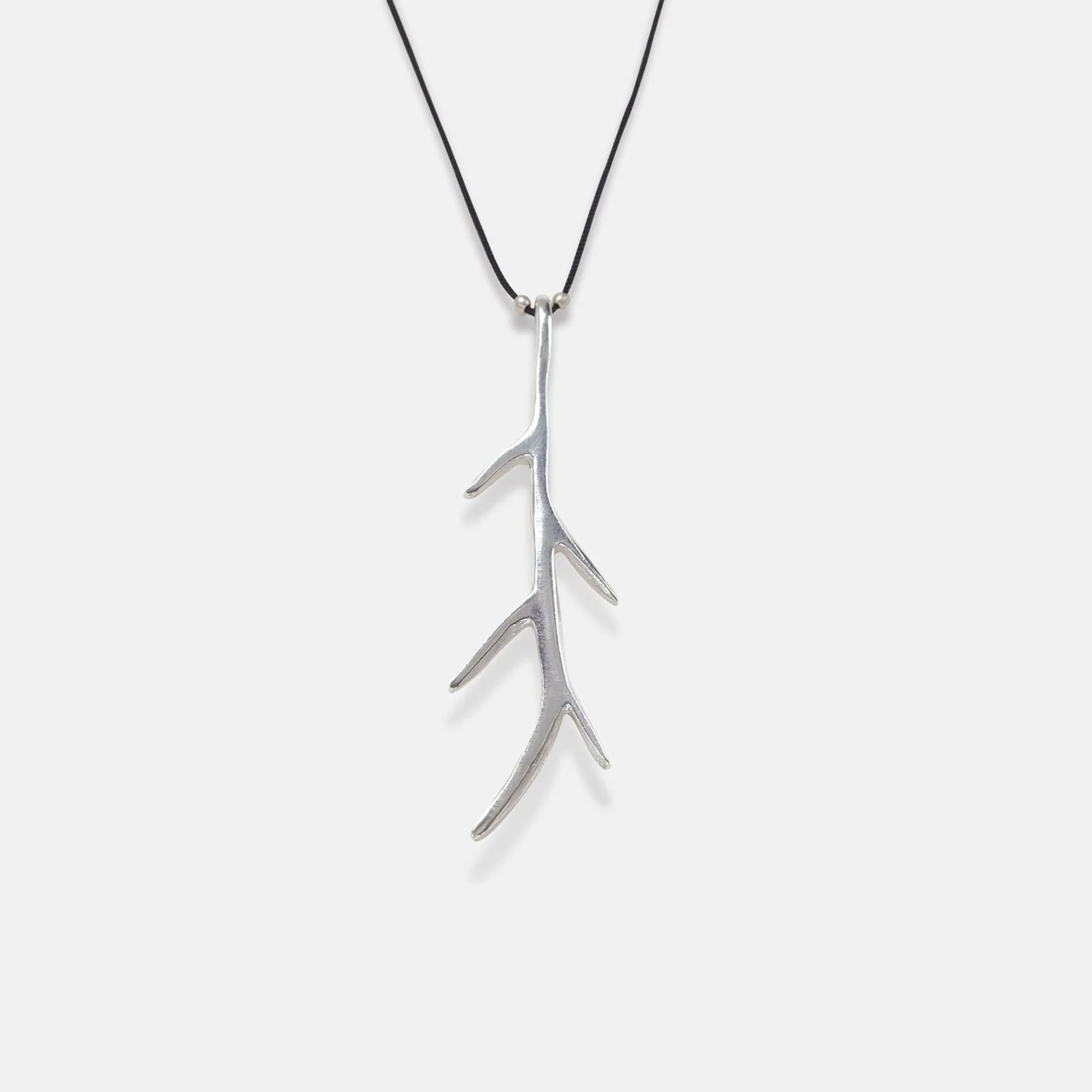 Staghorn