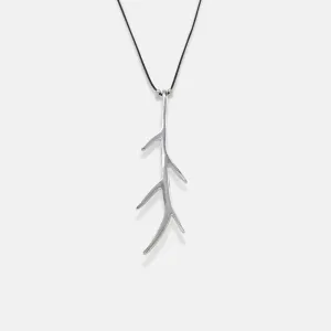 Staghorn