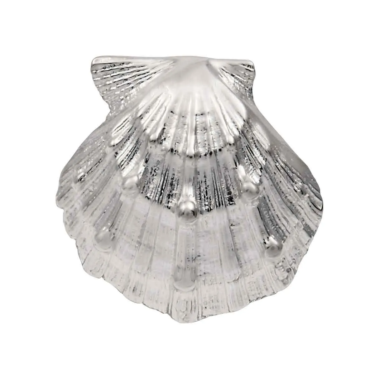 Sterling Silver Small Lion's Paw Shell Pendant