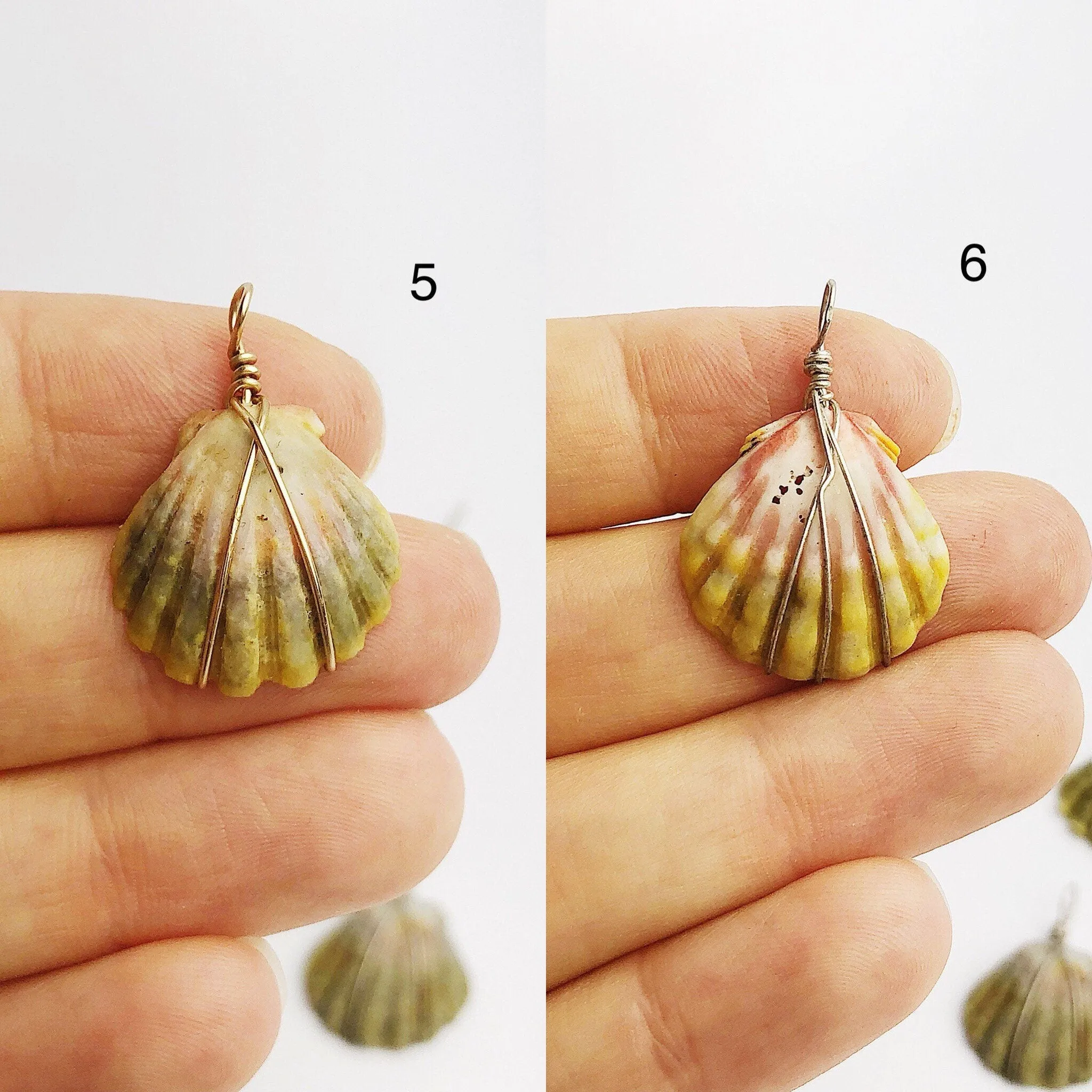 Sunrise Shell Wire Wrapped Pendants from Hawaii - Natural Color - Sunrise Shells - Sunnies (391 No. 1-10)