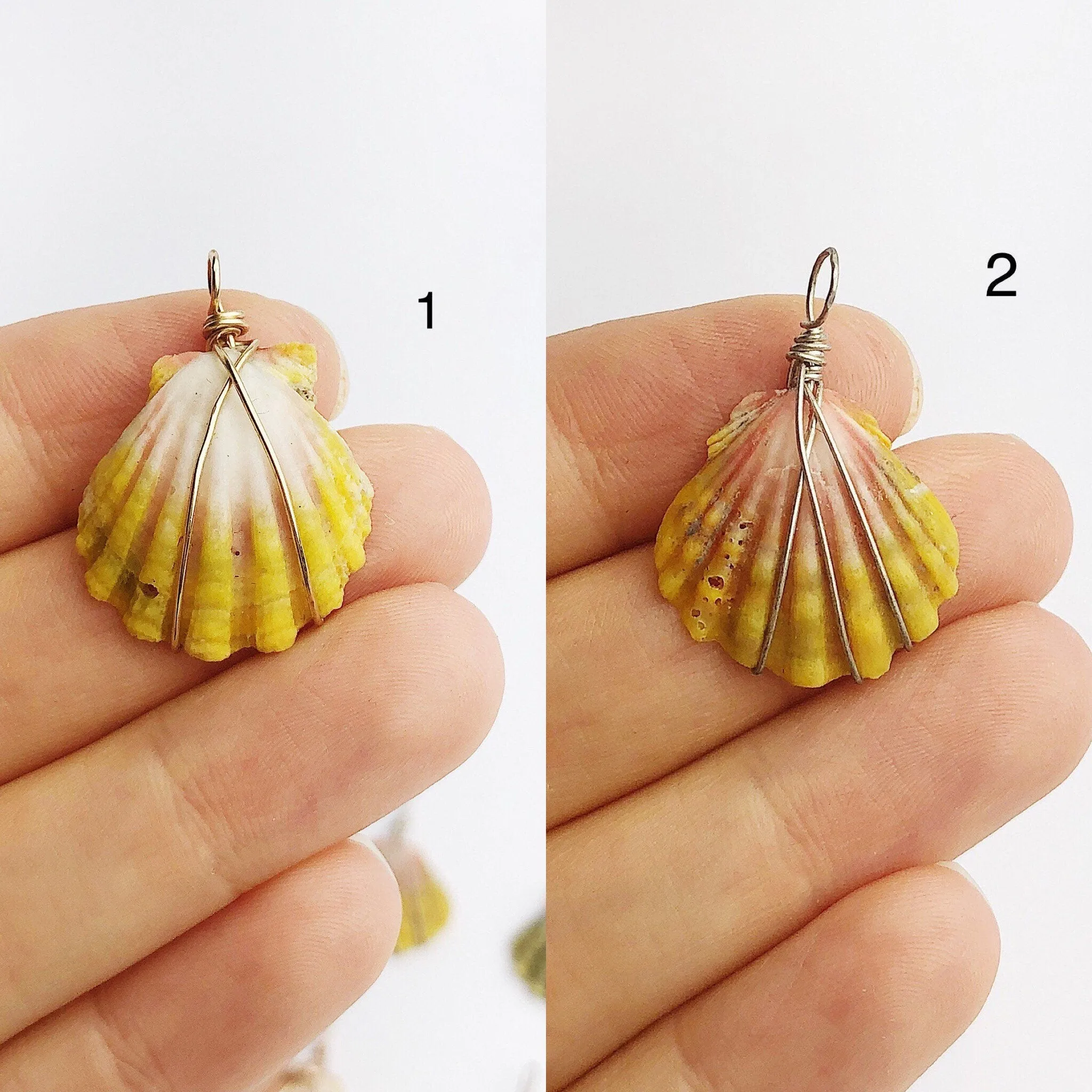 Sunrise Shell Wire Wrapped Pendants from Hawaii - Natural Color - Sunrise Shells - Sunnies (391 No. 1-10)
