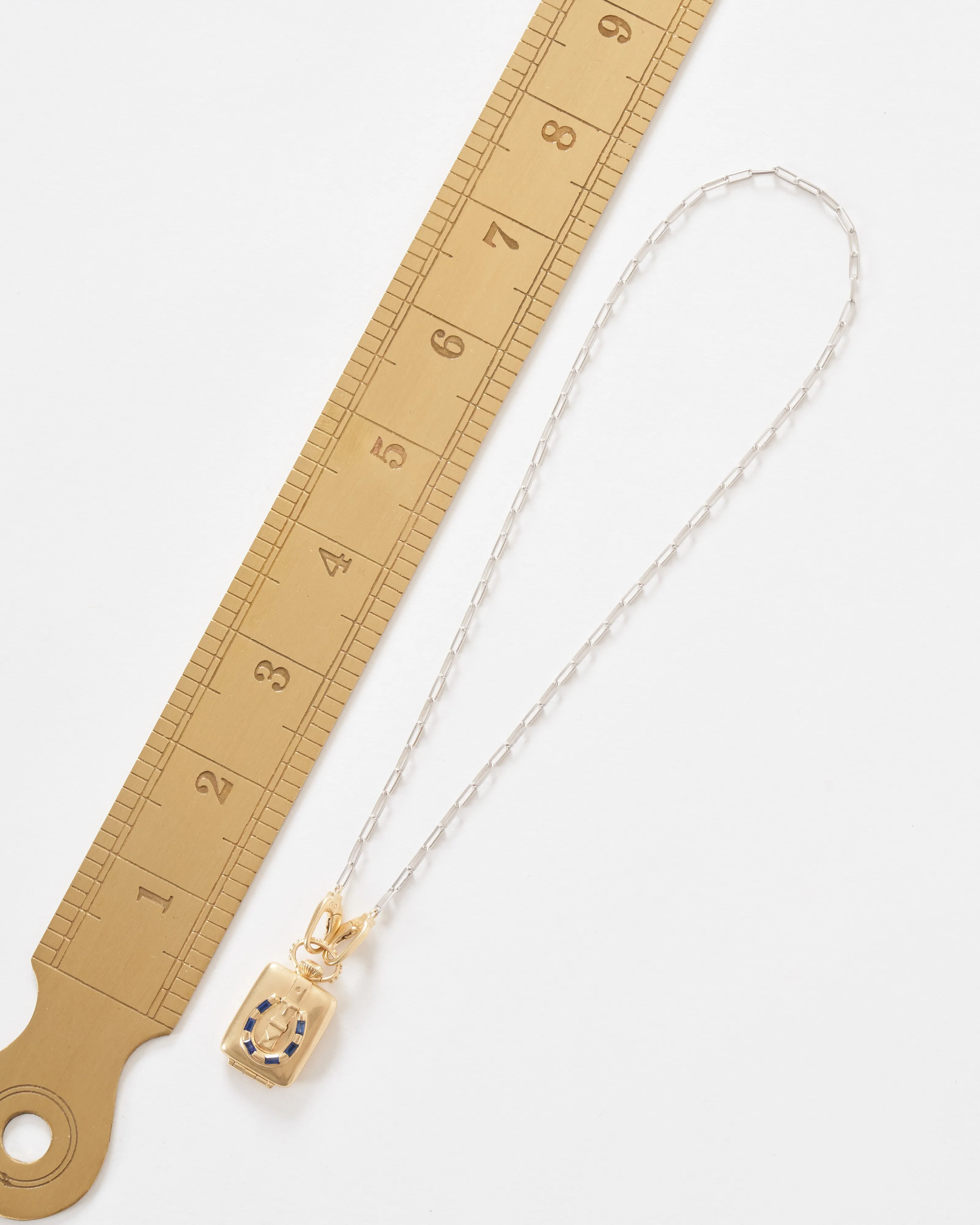 the ace vault w/ silver paperclip chain
