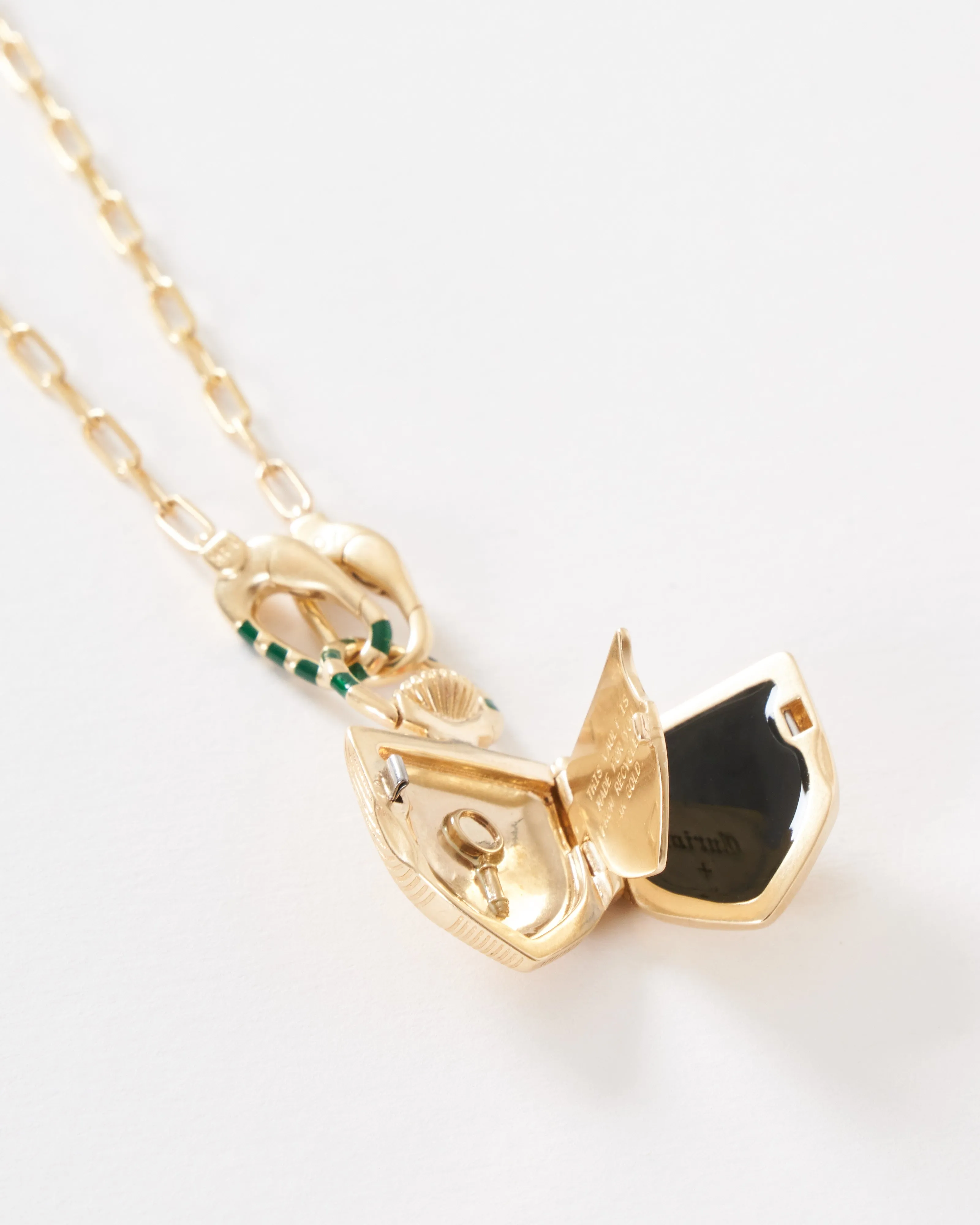 the curiouser vault w/ 14k paperclip chain stripe