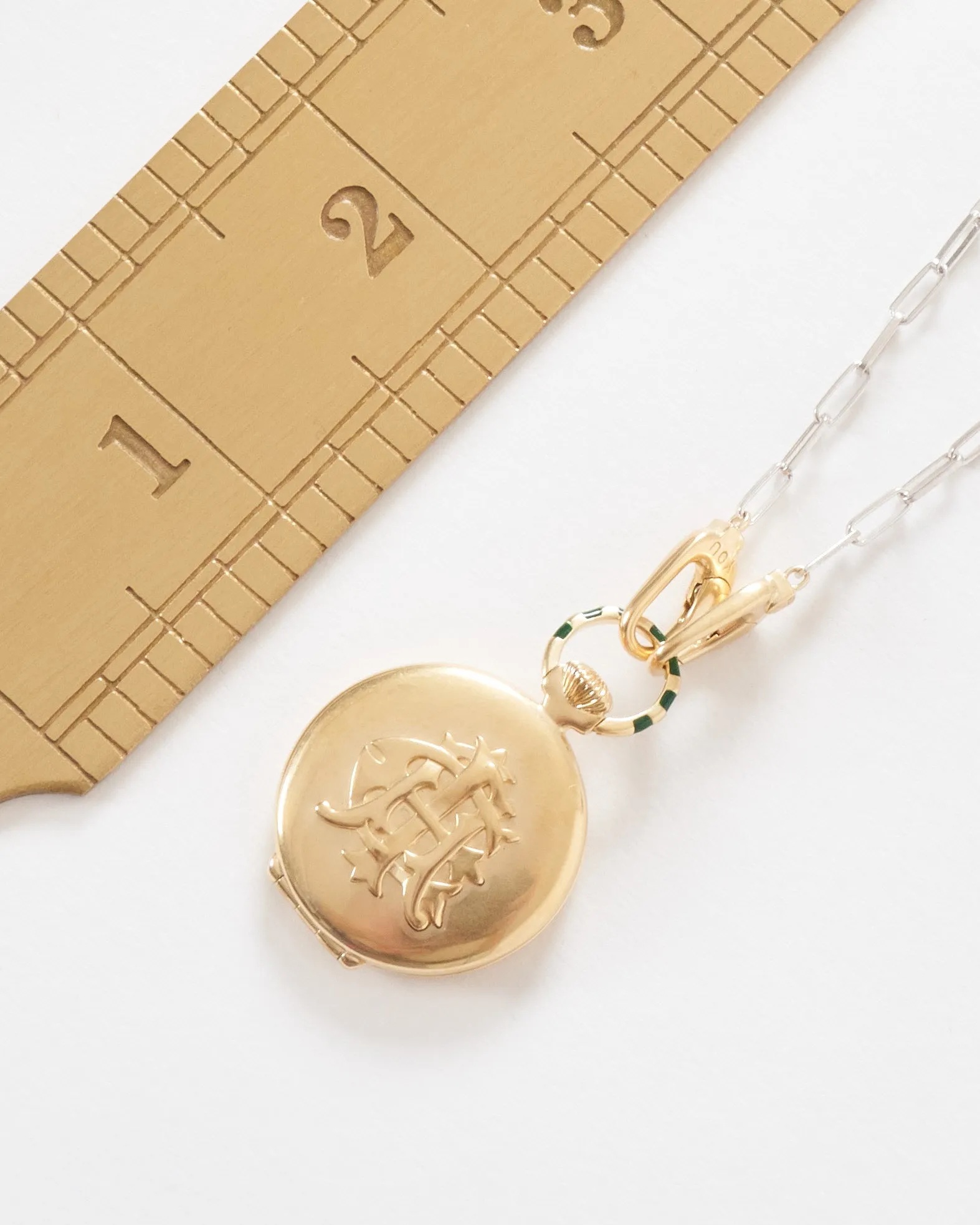 the endeavor vault w/ silver paperclip chain