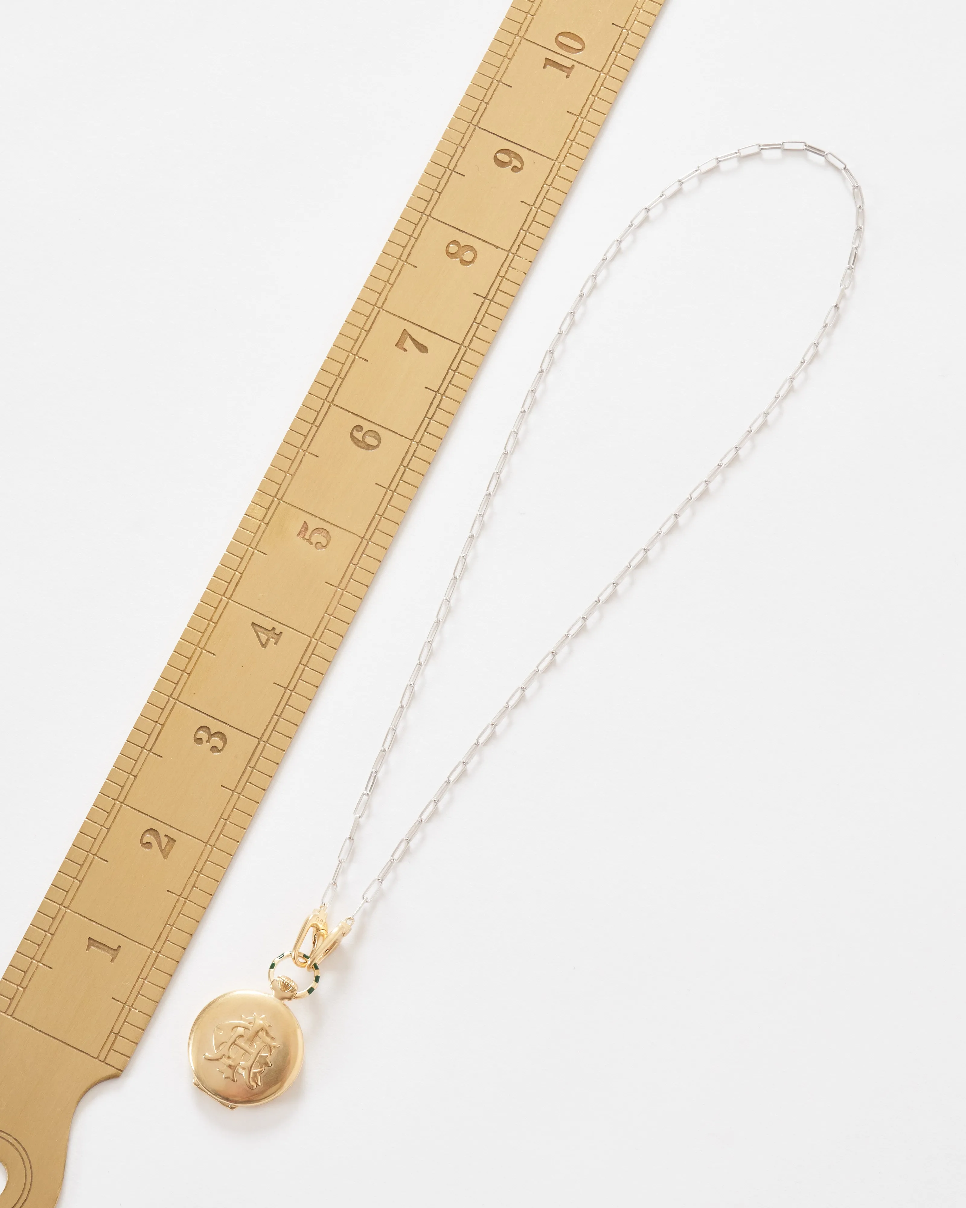 the endeavor vault w/ silver paperclip chain