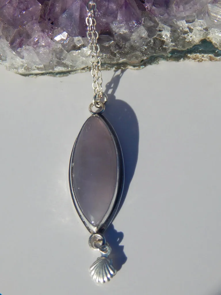 The Shelly Necklace