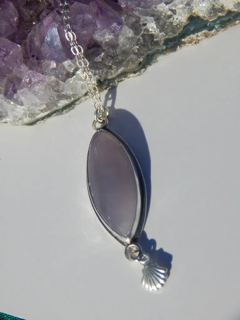 The Shelly Necklace