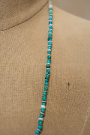 Turquoise & Shell Long Necklace