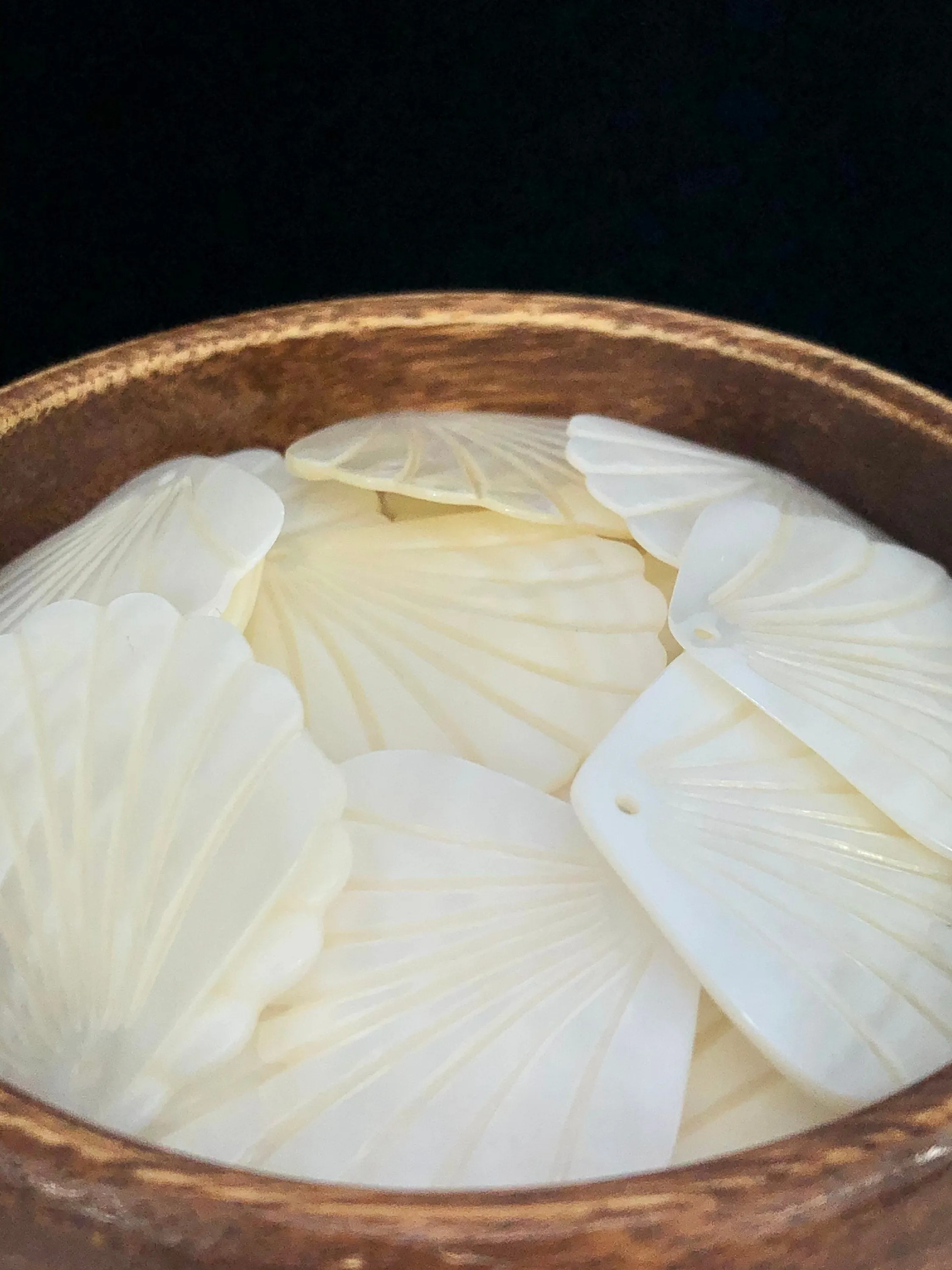 White South Sea Mother Of Pearl Clam Shell Sku#M208