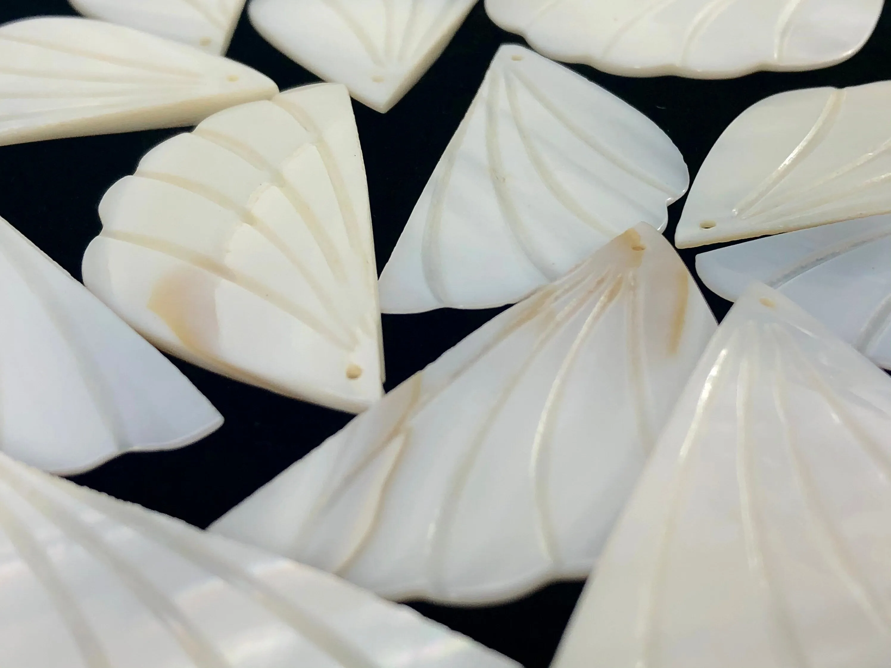White South Sea Mother Of Pearl Half Shell Sku#M290